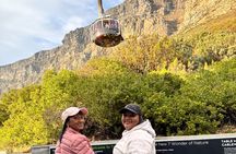 Table Mountain and Penguins Half Day Shared Group Tour