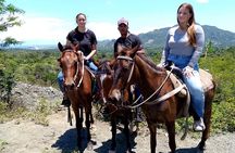 Horse Tours on the Beach and Mountains in Puerto Plata 