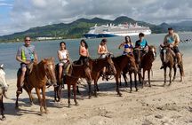 Horse Tours on the Beach and Mountains in Puerto Plata 