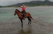 Horse Tours on the Beach and Mountains in Puerto Plata 