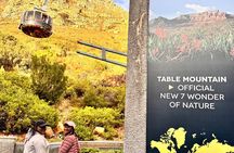 Table Mountain and Penguins Private Half Day Tour