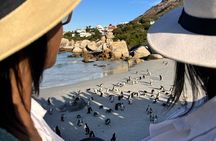 Table Mountain and Penguins Private Half Day Tour