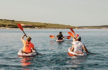 Adventure Kayak Tour in Seagulls Rocks