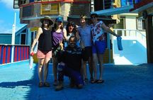 Punta Cana Half-Day Cultural Safari with Lunch and Drinks