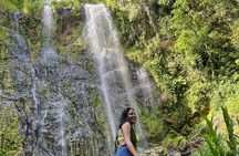 Rainforest Hike to Hidden Waterfall in Puerto Rico with Transport