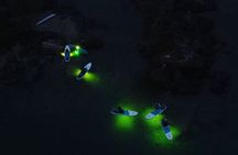 Paddle Out at Dusk for Glow Night Cruise in Gordon Bay