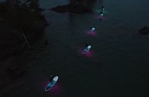 Paddle Out at Dusk for Glow Night Cruise in Gordon Bay