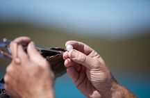 Guided Paspaley Pearl Farm Tour with Return Transfers