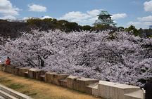  6 Hours Osaka Tour with National Licensed Guide