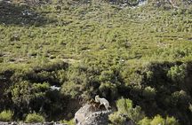 Private Guided Tour in Maipo Canyon with Winery