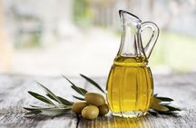 Small Group Olive Oil and Wine Tour with Light Lunch