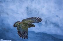 Franz Josef to Queenstown Small Group Tour via Wanaka 1 -Way