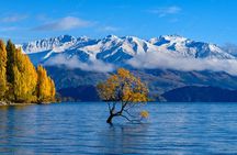 Franz Josef to Queenstown Small Group Tour via Wanaka 1 -Way