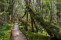 Christchurch to Franz Josef 1-Way Small Group Tour via Hokitika