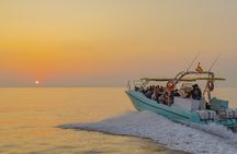 Exclusive Dolphin Watching in Mallorca from Port Alcudia