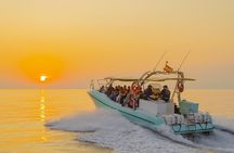 Exclusive Dolphin Watching in Mallorca from Port Alcudia