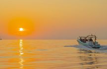 Exclusive Dolphin Watching in Mallorca from Port Alcudia