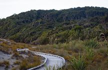 Franz Josef to Queenstown Small Group Tour via Wanaka 1 -Way