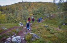 Half Day Hike To Orvvosfossen Waterfall