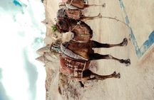 Camel Ride in Cappadocia 