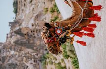 Camel Ride in Cappadocia 
