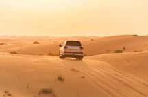 Morning Desert Safari with Dune Bashing And Camel Ride