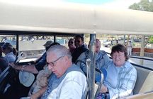 Big 5 Aquila Safari Full Day Tour and Lunch