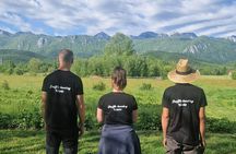  Truffle Hunting in Velebit with Gastronomic Experience