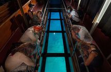 Tour of Caldera with Glass bottom Boat