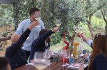Sorrento Wine Tasting e Food Pairing Experience