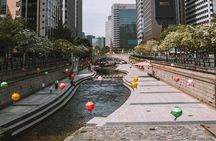 Seoul Fun Food Tour: 12 different food tastings