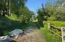 From Milan/Como/Varenna: Panoramic Hiking Tours near Lake Como