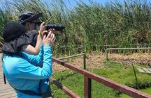 Birdwatching & Landscaping Tour in Lima