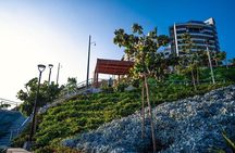 Birdwatching & Landscaping Tour in Lima