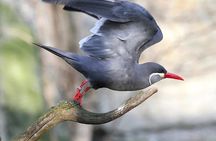 Birdwatching & Landscaping Tour in Lima