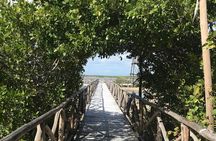 Tour to Cozumel Eco Nature Escape and Otoch Mayan Experience