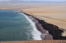 Private Tour at The National Reserve of Paracas