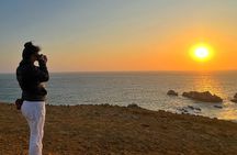 Private Tour at The National Reserve of Paracas