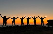 Private Tour at The National Reserve of Paracas