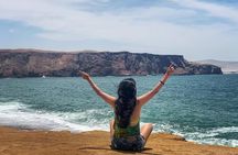 Paracas NationaL Reserve Journey - Scenic Stops at Your own pace