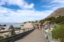 Table Mountain Boulder's Beach and Cape Point