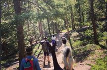 Guided Llama Hike in the Rocky Mountains
