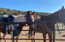 Horseback Ride near the Grand Canyon's West Rim