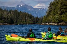 Siginaka Islands Cruise and Kayak Adventure