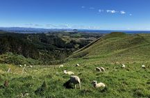 Scenic Short Hike Tour - Papamoa Hills and McLaren Falls