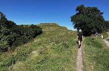 Scenic Short Hike Tour - Papamoa Hills and McLaren Falls