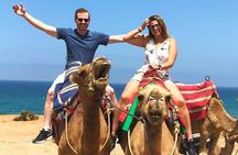 Port Pick Up: Tangier All-inclusive Small Group Tour