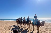 Full Day Private Tour in Tangier