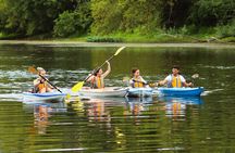 Ottawa Ecological Reserve Kayak Tour with TURTLE Sightings