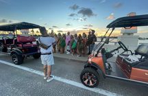 Private Golf Cart Tours in Miami South Beach and Venetian Islands